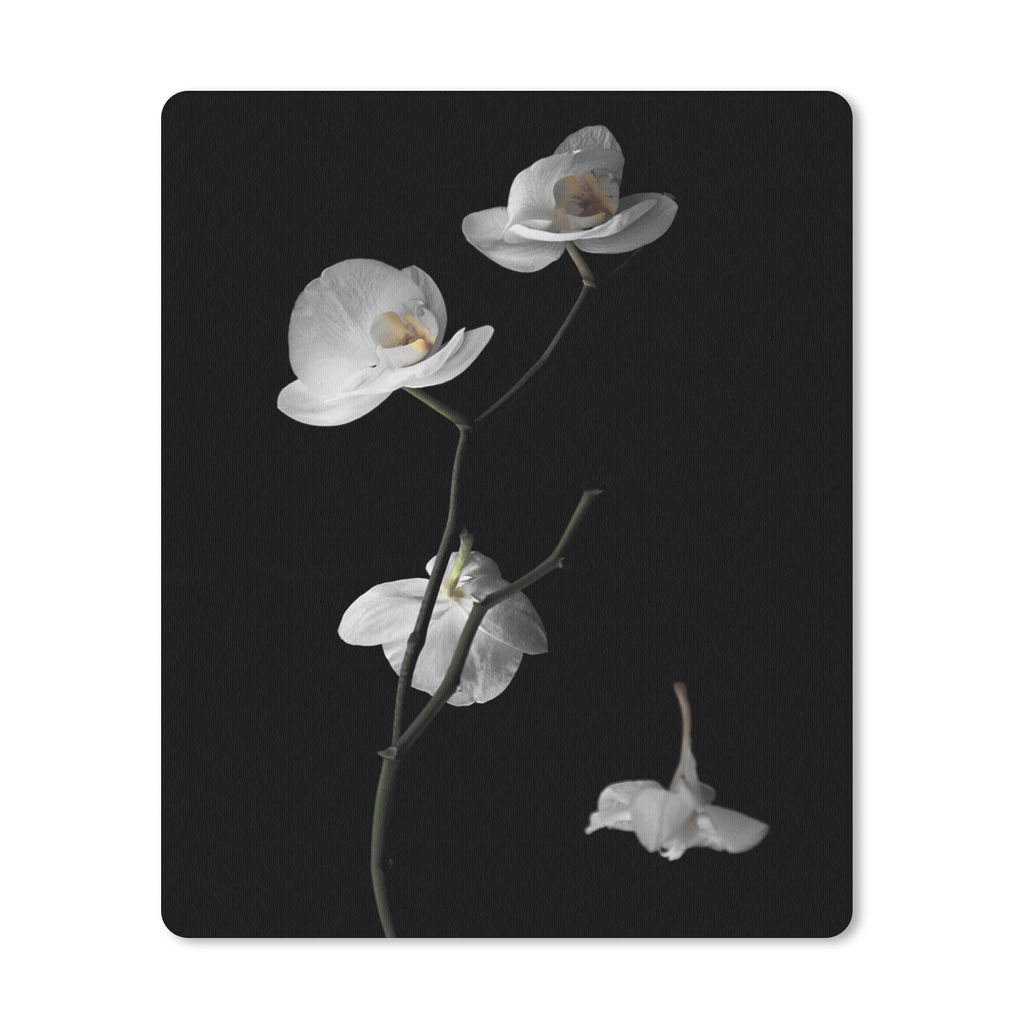 MuchoWow Mauspad Mousepad Orchidee - Blumen - Schwarz - Weiß - Stilleben 30x40 cm - Mousepads - Maus Mat - Pad - Mausunterlage - Mausmatten
