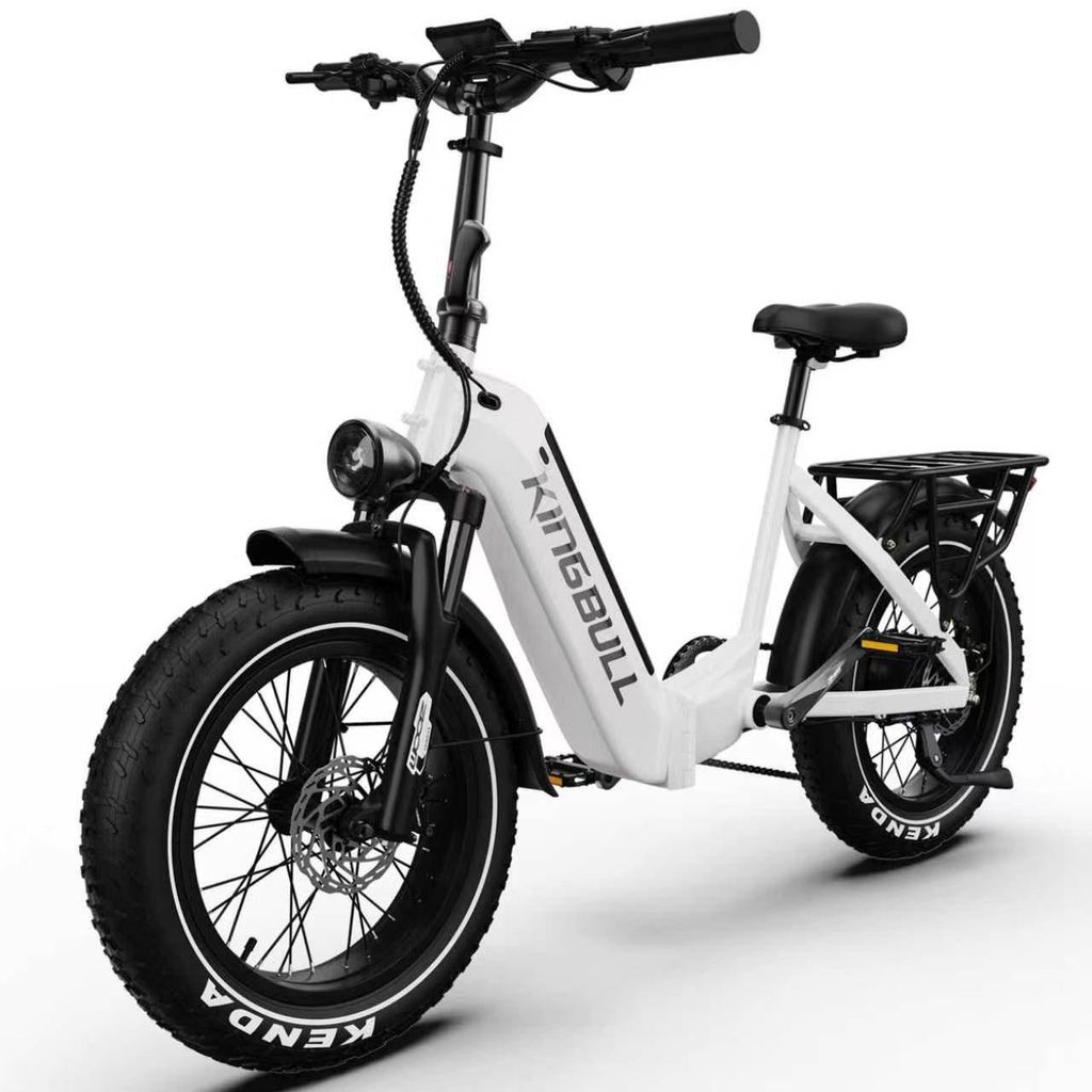 E-Bike Cityrad VERVE E-Fahrrad Damen u. Herren 960WH Pedelec, 48V 20AH 130 km Kettenschaltung, Heckmotor, 960 Wh, E-Bikes, 130km, 20×4.0" Fatbike