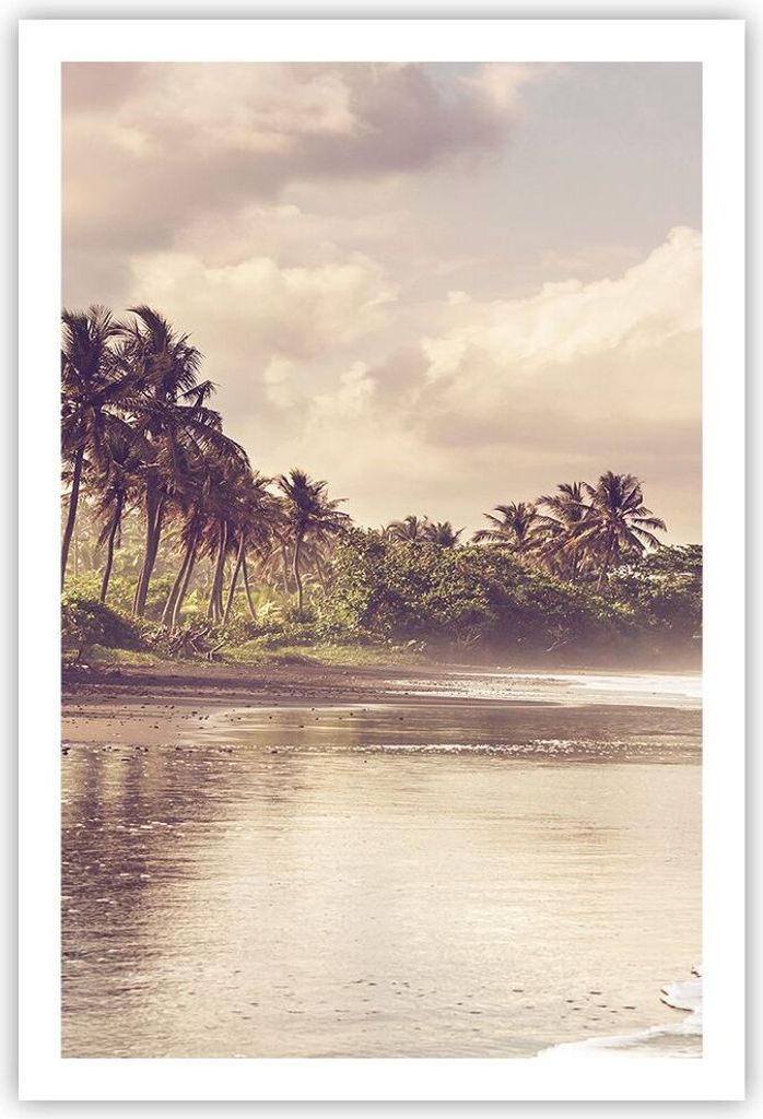 Poster - Poster ohne Rahmen - Palmen Strand Wasser - 61x91,5 cm - Wand Bild - Wanddeko - Wandbilder - Kunstposter - Wandposter - Bilder - Kunstdruc...