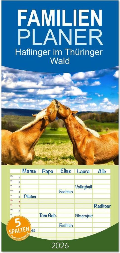 Familienplaner 2026 - Haflinger im Thüringer Wald mit 5 Spalten (Wandkalender, 21 x 45 cm) CALVENDO