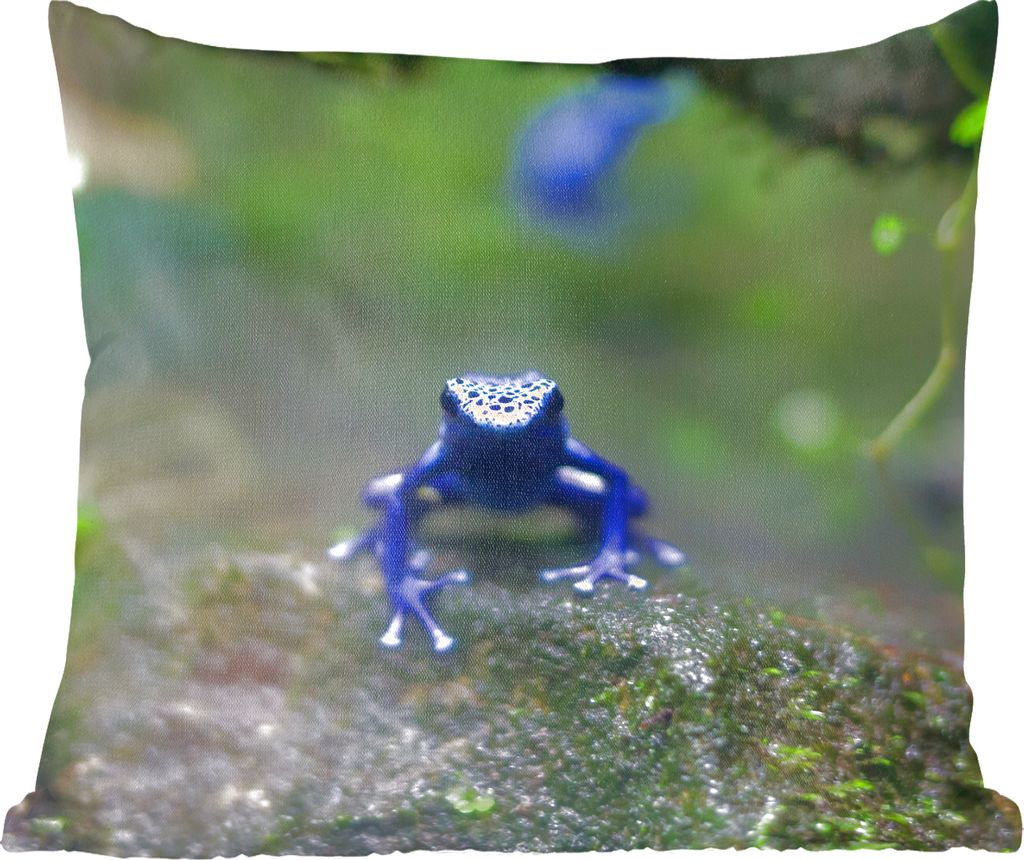MuchoWow Zierkissen Sofakissen Wohnzimmer Dekokissen 60x60 cm Blauer Frosch im Dschungel - Sitzfläche - Foto Polster