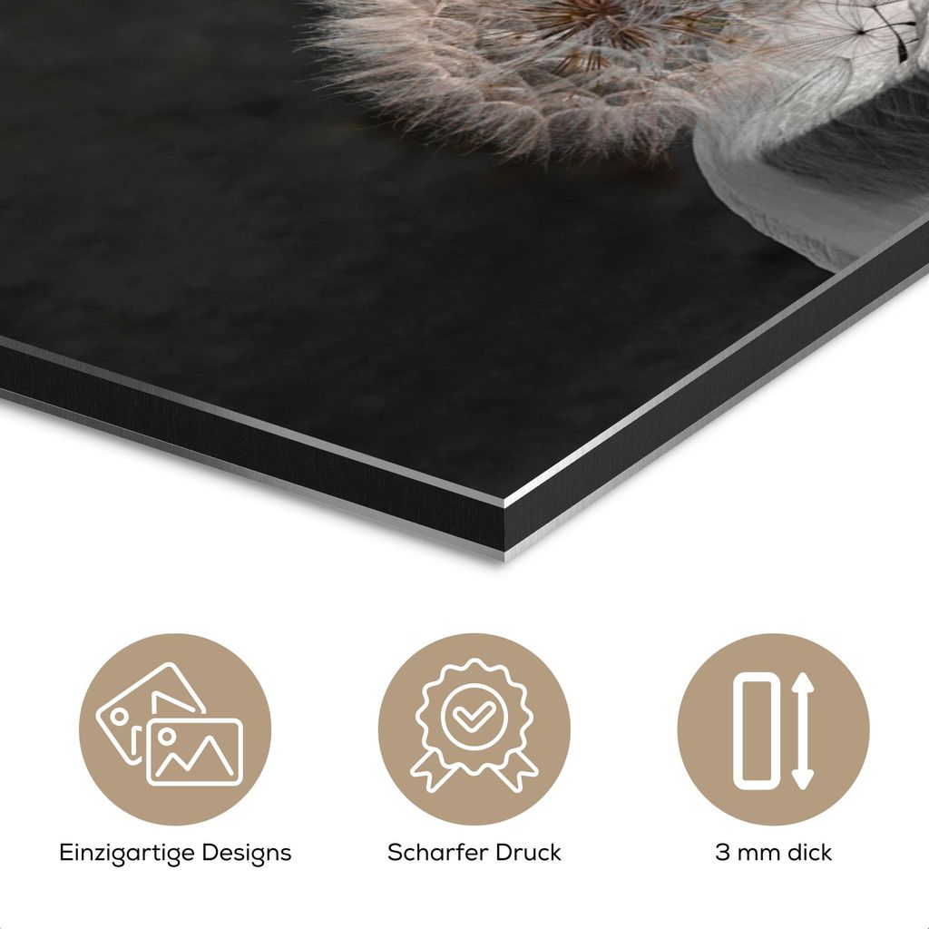 MuchoWow Wanddekoration Metall Metallbild Wandkunst 30x20 cm Blumensamen - Löwenzahn - Vase - Stilleben - Blumenstrauß MuchoWow Aluminium Gemäld...