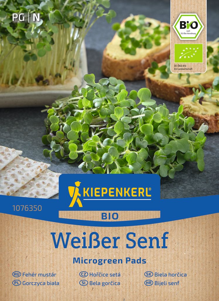 Kiepenkerl Nachfüllpad Senf Sinapis alba Microgreen 3 Stück