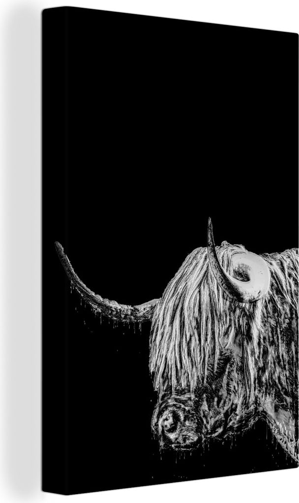 OneMillionCanvasses - Leinwandbilder - 90x140 cm, Robuster schottischer Hochlandrind - schwarz und weiß, Wandbilder Kunstdruck Wanddekoration - ...