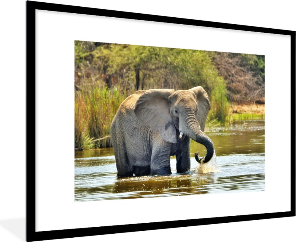 MuchoWow® MuchoWow® Gerahmtes Poster Elefant - Wasser - Produktbild 
