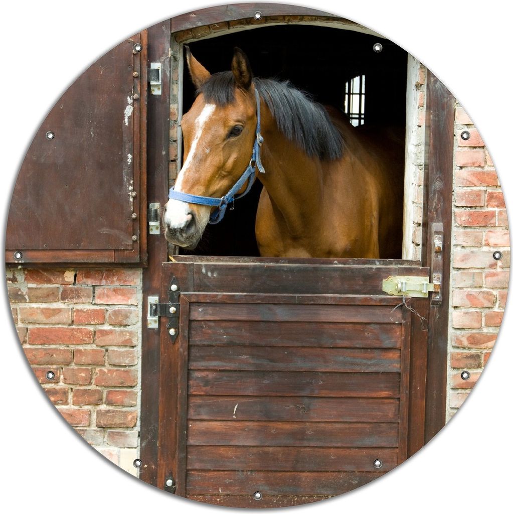 Wallario rundes Outdoor-Poster für Garten oder Balkon, Motiv Pferd im Stall, 120 cm Durchmesser