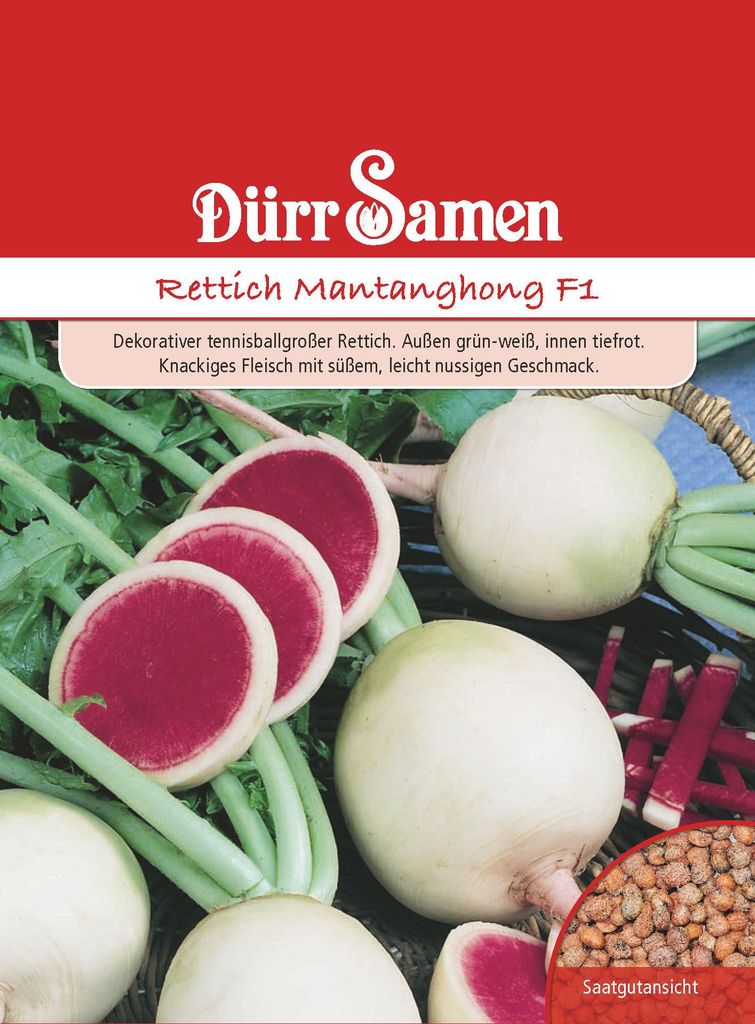 Rettich Mantanghong F1 | Rettichsamen von Dürr Samen Produktbild 