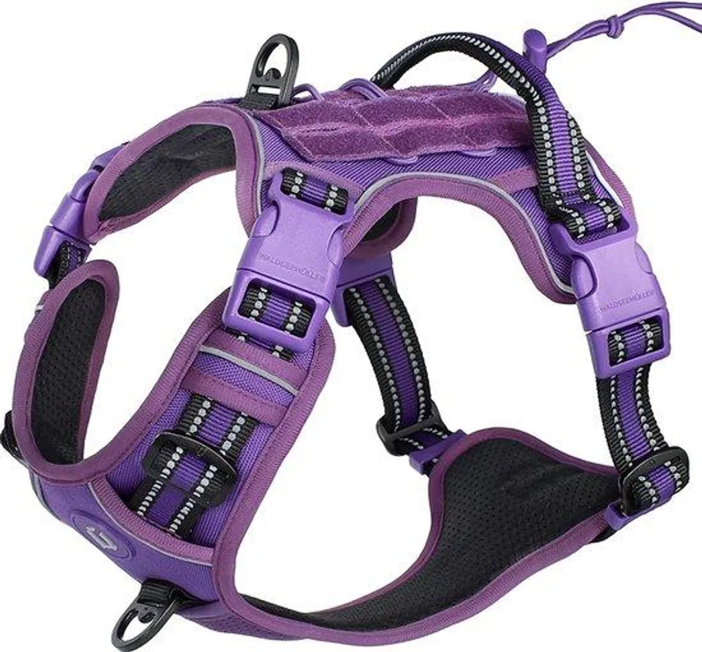 Collier de dressage tactique pour gros chien avec boucle métal solide