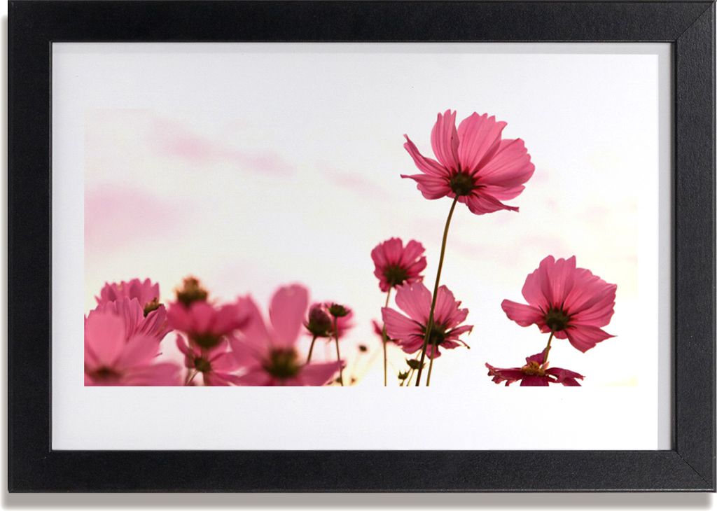 Bild 30x20 MDF-Rahmen Wandkunst Blumen Pflanzen Natur
