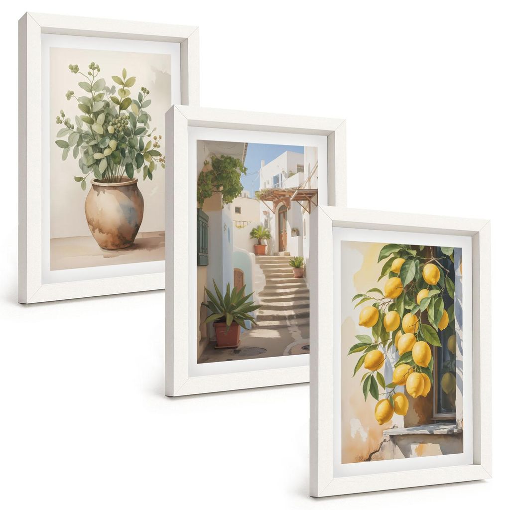 Bilder Set 3-teilig im weißen Rahmen – Wandbilder 3 Stück – gerahmte Poster für Wohnzimmer, Schlafzimmer und Flur – 20x30 cm – Pflanzen ...