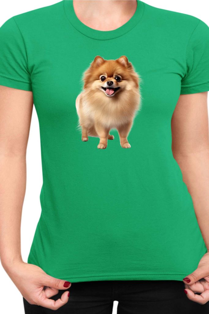 Damen T-Shirt Dogs Breeds Pomeranian Dog Breed 005, Lady XS / Grün