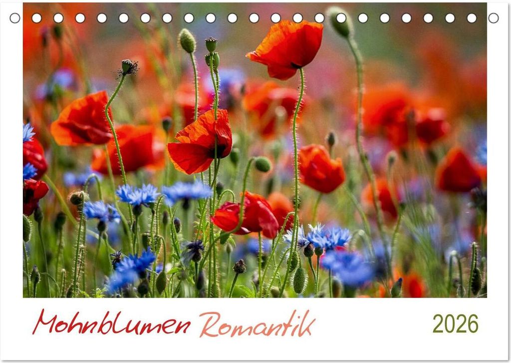 Mohnblumen Romantik (Tischkalender 2026 DIN A5 quer), CALVENDO Monatskalender