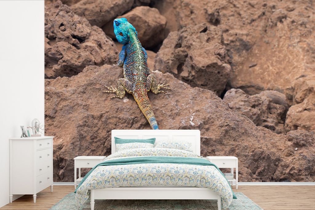 MuchoWow Fototapete für Wohnzimmer oder Schlafzimmer Wandtapete Vinyl Motivtapete Eine Feuerechse auf den Felsen - 330x220 cm - Fototapeten