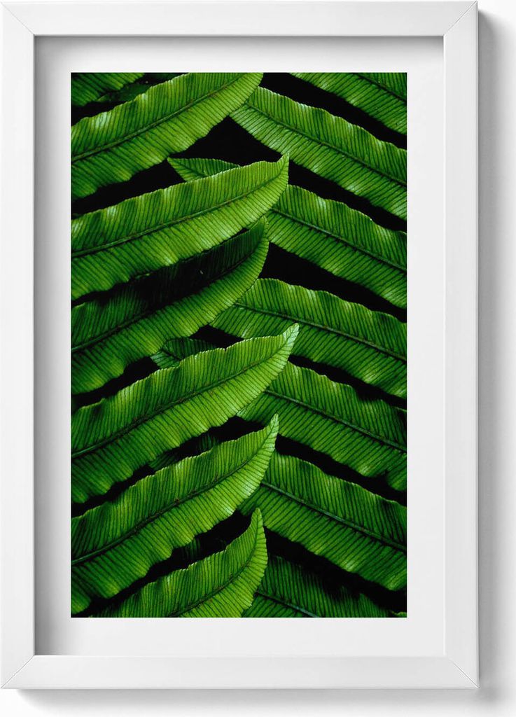 Gerahmtes Kunstwerk– Wandbild mit Rahmen – Gerahmtes Bild – Wanddekoration – 20x30 cm – Weiß