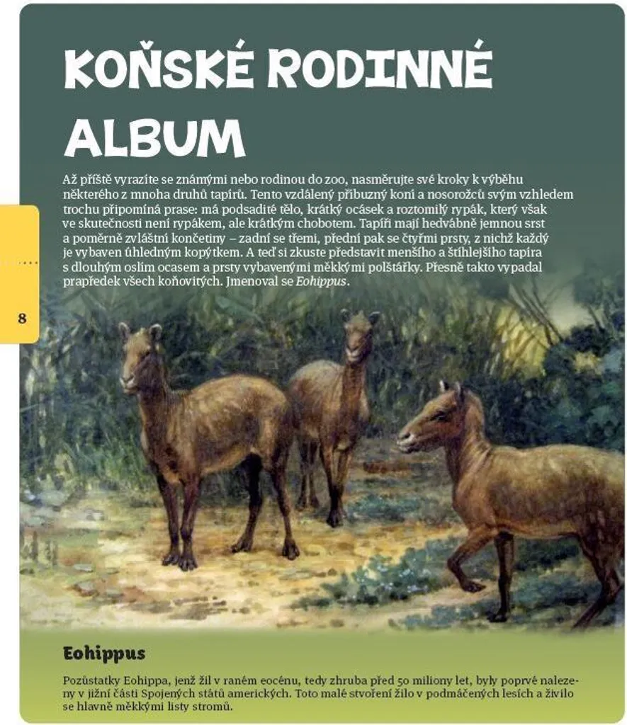 Livre Koně Dorota Kozińska : Photographies Haute Définition de Chevaux
