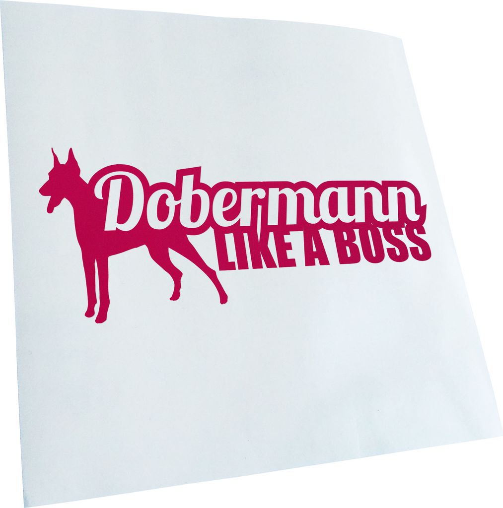 Kiwistar - Autoaufkleber - Dobermann Like a Boss Hund Heckscheibenaufkleber - Aufkleber für Auto Kfz Fahrrad, LKW, Truck Mofa