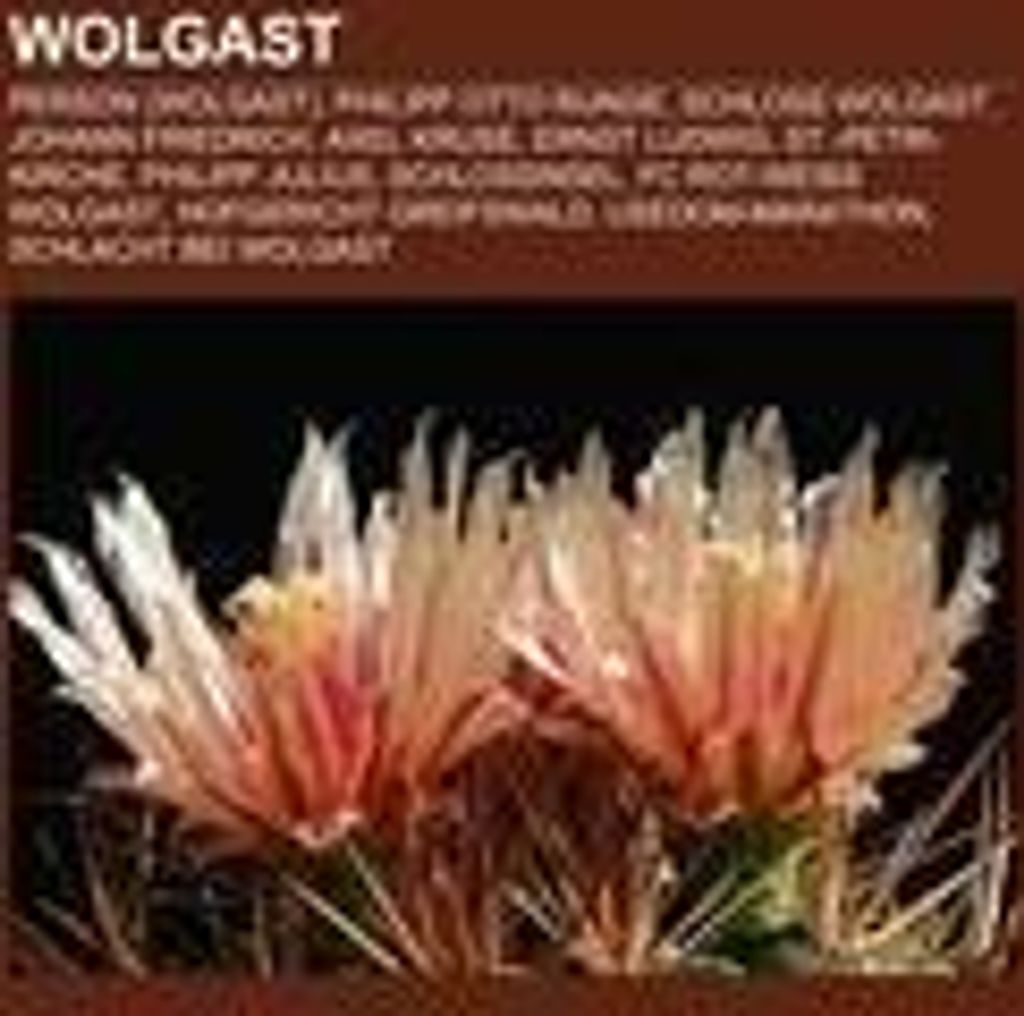 Wolgast