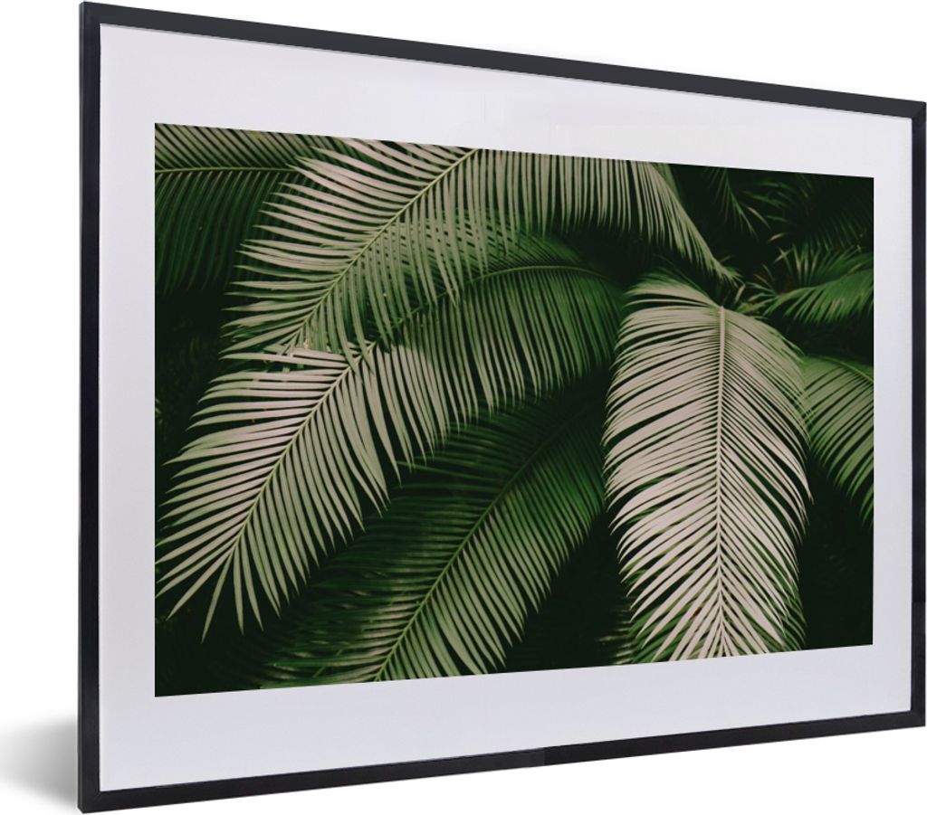 MuchoWow Gerahmtes Poster Palmwedel - Sommer - Tropisch 40x30 cm - Poster mit Schwarzem Bilderrahmen Wandposter Rahmen Foto Bilder - Bilderrahmen...
