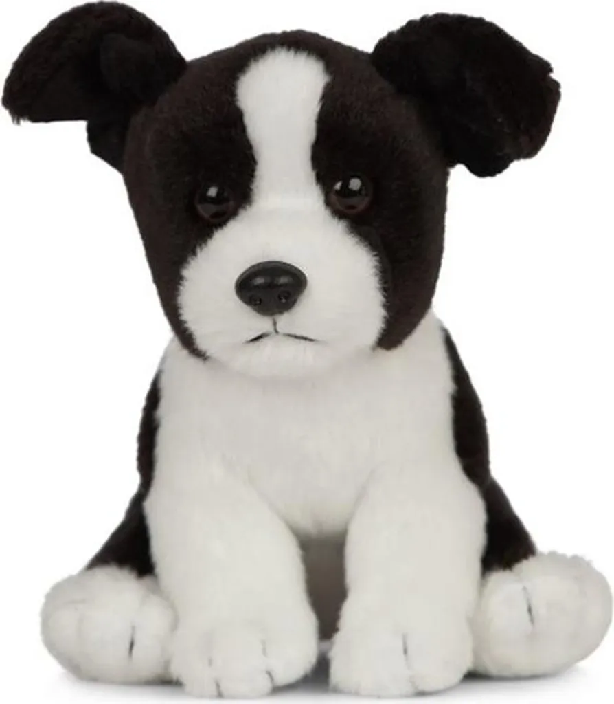 Cadeau Peluche Chiot Border Collie 16cm - Jouet Éveil Premier Âge Chic