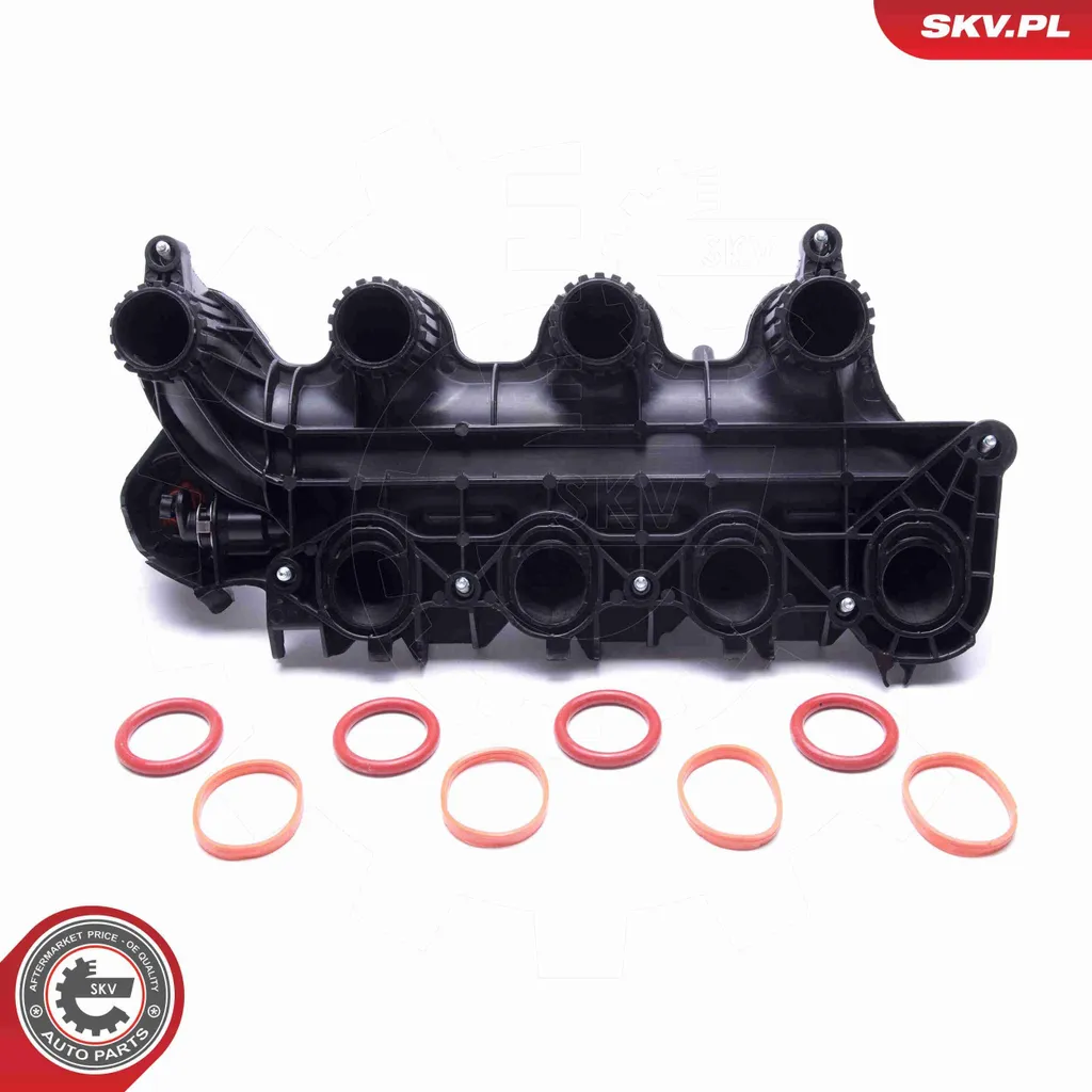 Collecteur d'Admission Robuste 49SKV065 pour Land Rover Freelander 2 - 2