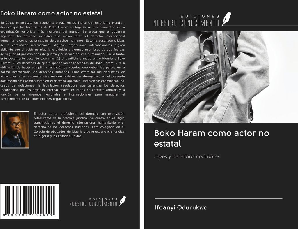 Boko Haram como actor no estatal