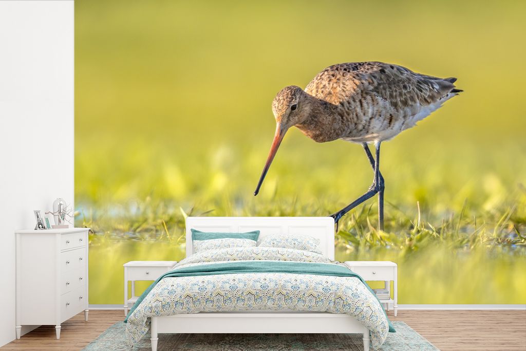 MuchoWow Fototapete für Wohnzimmer oder Schlafzimmer Wandtapete Vinyl Motivtapete Vögel - Gras - Landschaft - Uferschnepfe - 360x240 cm - Vinyl...