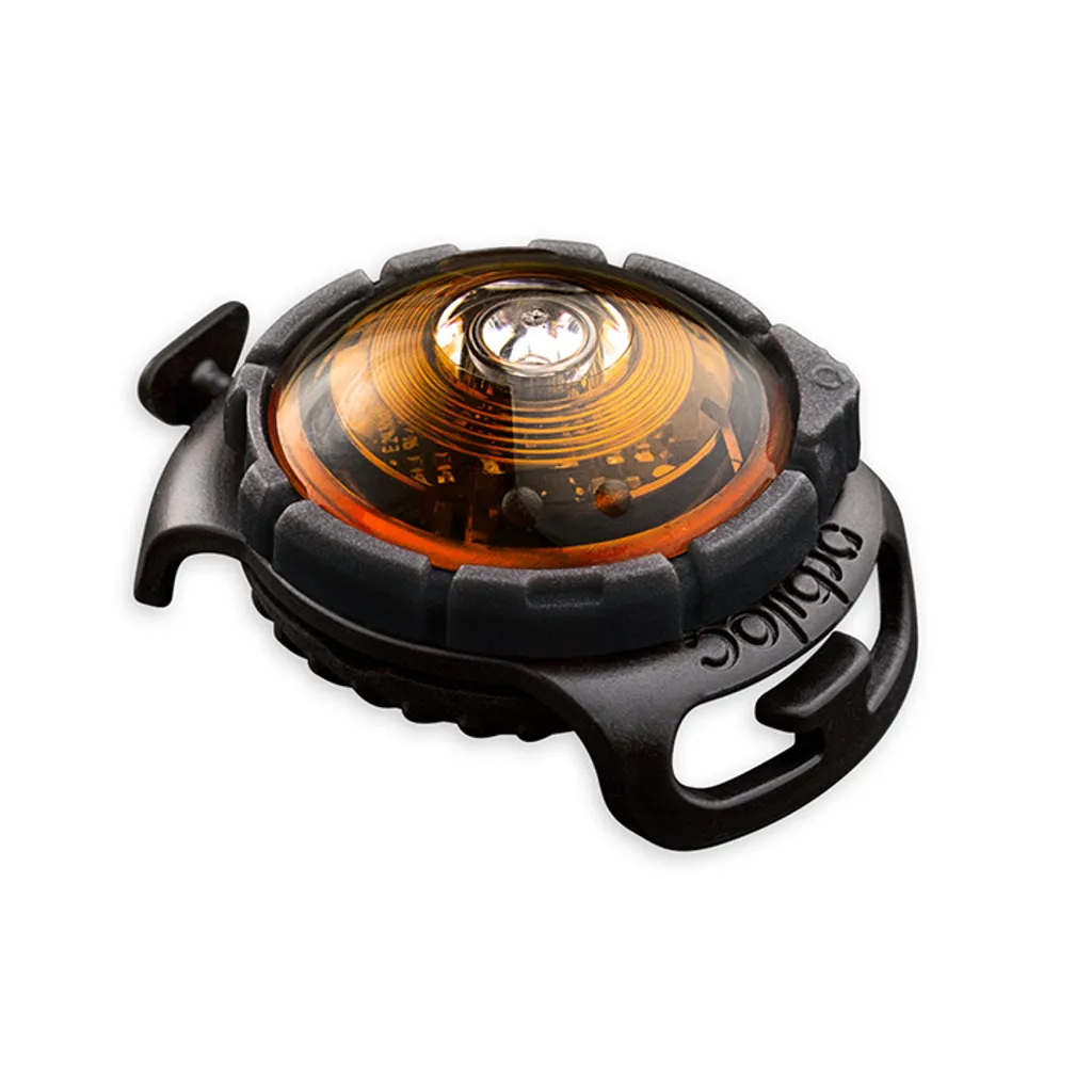 Ne perdez plus votre chien dans le noir - Lampe Orbiloc LED Ambre Pro