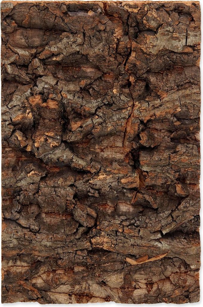 REPTI PLANET tło z naturalnego korka 19x27,3x2cm do Zdjęcie produktu 