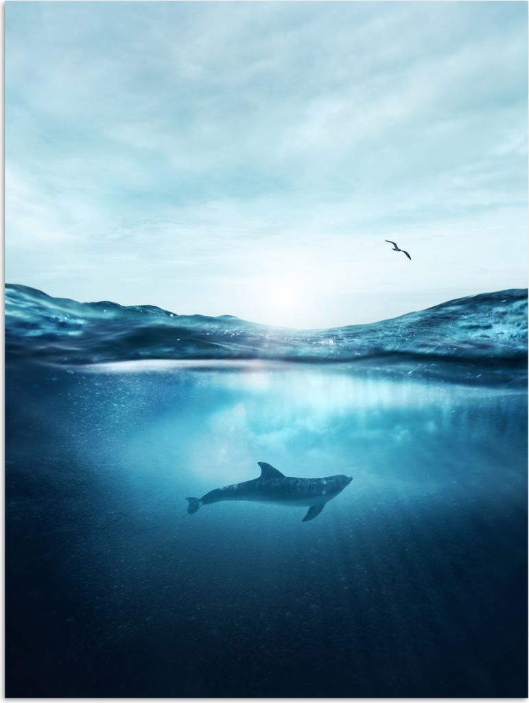 MuchoWow Poster Delfin - Meer - Vogel 120x160 cm - Wandbilder
