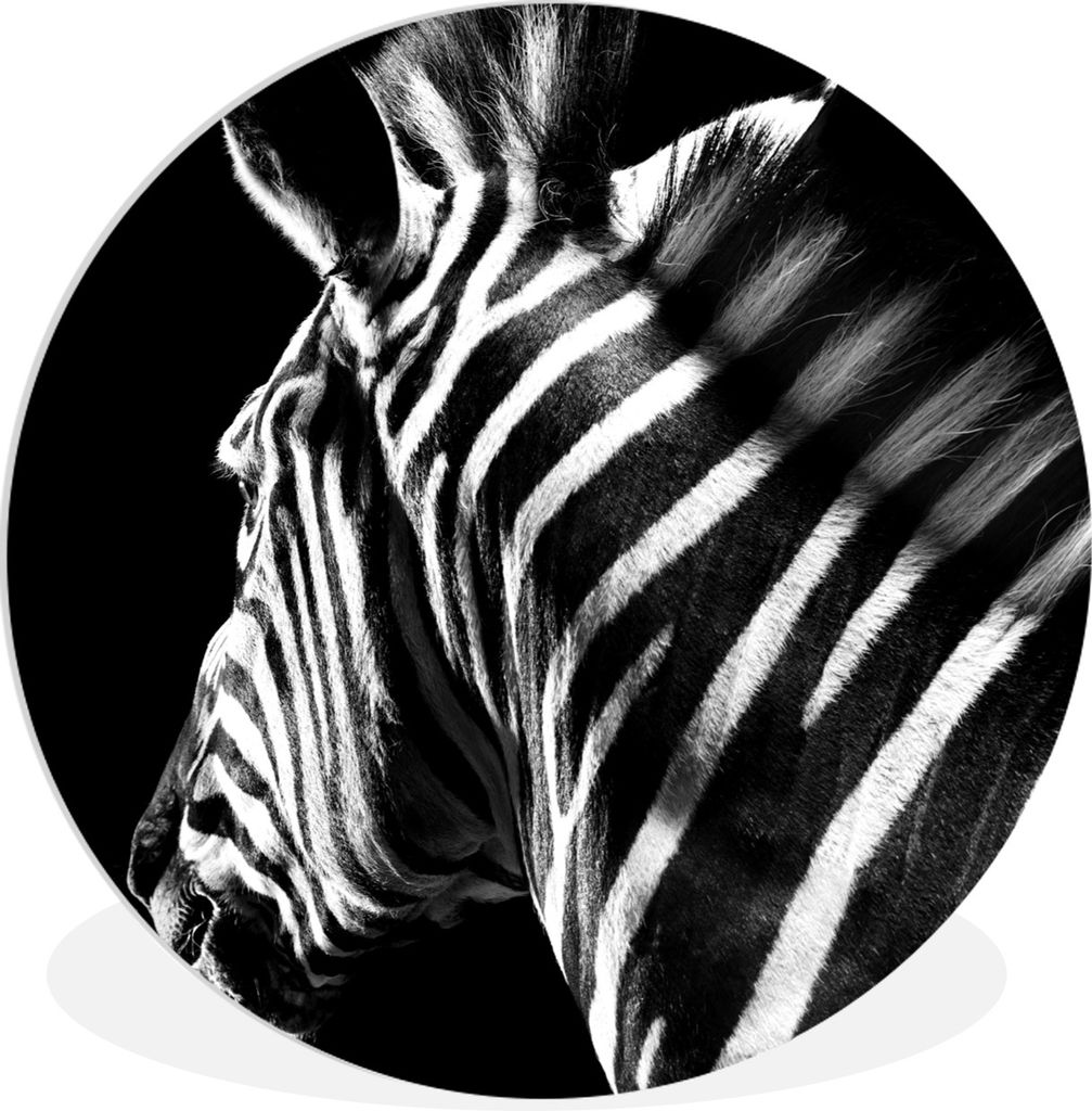 MuchoWow Rundes Wandbild - Runde Bilder Zebra - Tier - Weiß - Schwarz und Weiß Ø 90 cm Kreis Wanddekoration Kunststoff - Wandkreis - Wandschmu...