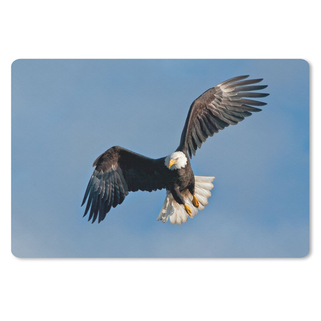 MuchoWow Schreibtischunterlage Ein amerikanischer Weißkopfseeadler am blauen Himmel 60x40 cm - XXL Mauspad - Großes Mauspad