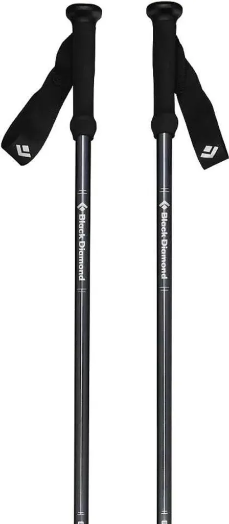 Bâtons de marche télescopiques Explorer 2 pour randonnée en montagne