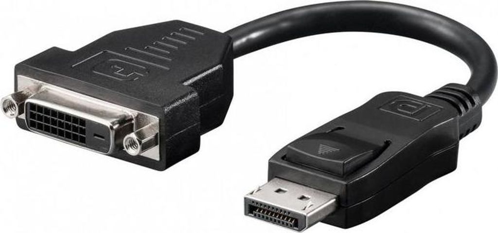 InLine DisplayPort Adapterkabel, DisplayPort Stecker auf Produktbild 