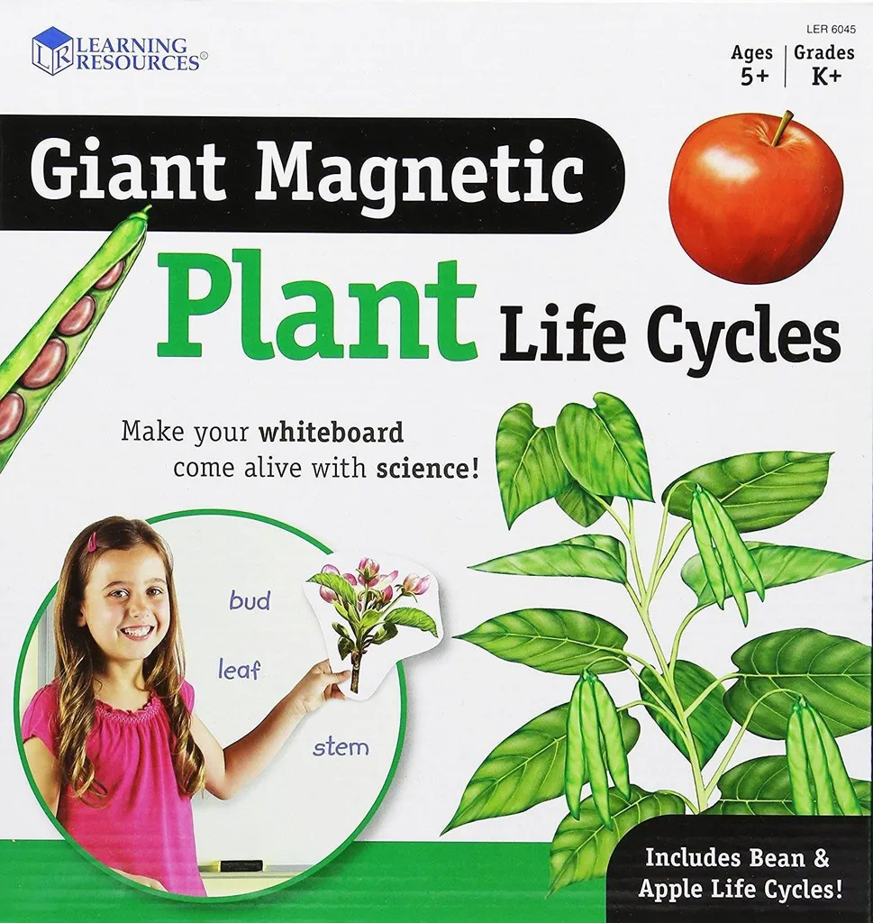Kit magnétique cycle de vie de la plante pour atelier sciences école