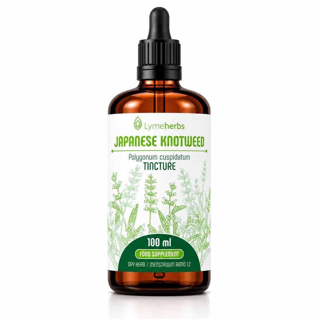 Japanischer Staudenknöterich 1:2 (100ml) Produktbild  KI-generiertes Bild