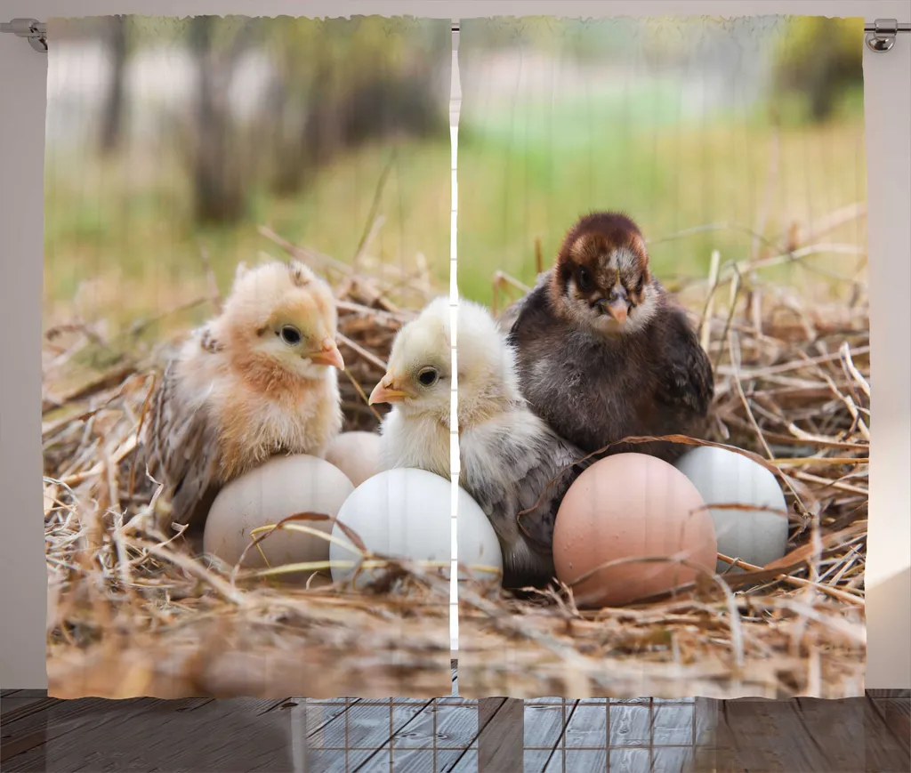 ABAKUHAUS Rideau Rustique Chicks 280x225 cm Multicolore avec Crochets
