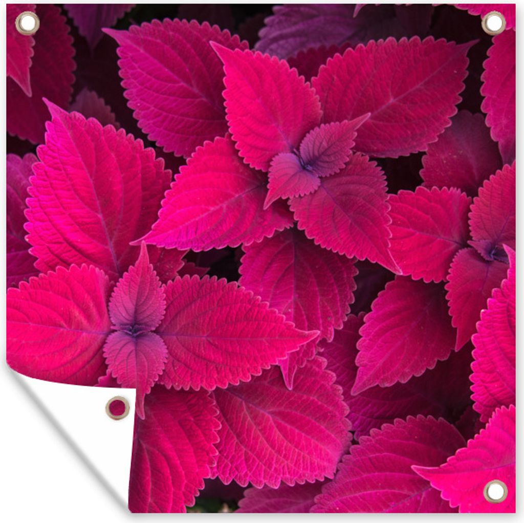 MuchoWow 100x100 cm Outdoor-Poster Gartendeko Sichtschutz Garten Poster für den Garten Blätter - Abstrakt - Muster