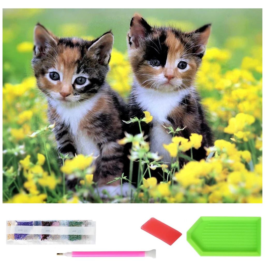 Malen nach Zahlen XXXL 5d Diamond Painting Baby Katze Malen nach Zahlen 120x60cm