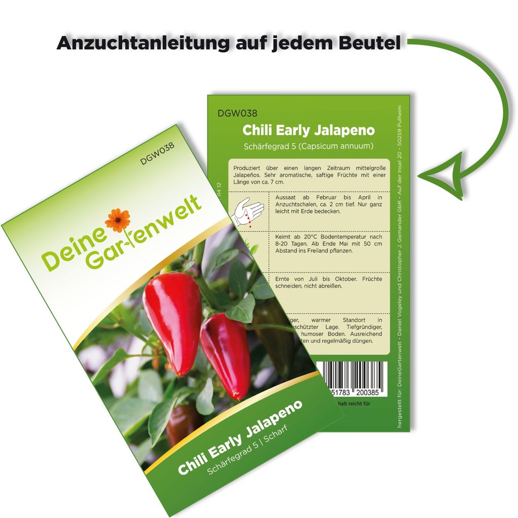 Chili Early Jalapeno Samen - Capsicum annuum - Chilisamen - Produktbild 3