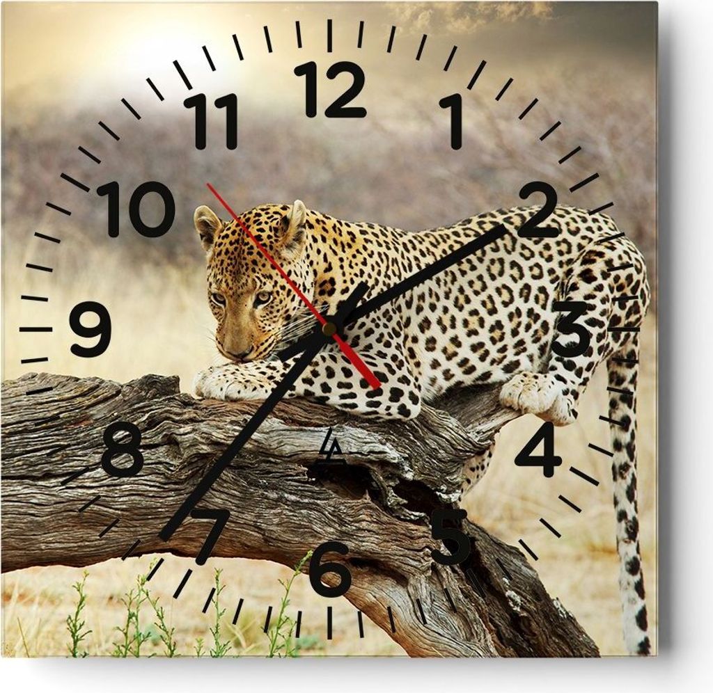 Wanduhr - Quadrat - Glasuhr - Afrika Leopard Katze Safari - 40x40cm - Schleichendes Uhrwerk - Lautlos - zum Aufhängen bereit - Dekoration Modern -...