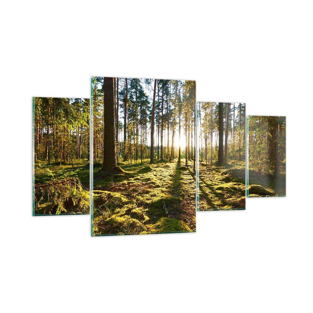 Bilder auf glas - Wald Baum Natur - 160x90cm - Glasbilder - Wandbilder - Kunstdruck - zum Aufhängen bereit - Wanddekoration aus Glas - Glas Bilder...