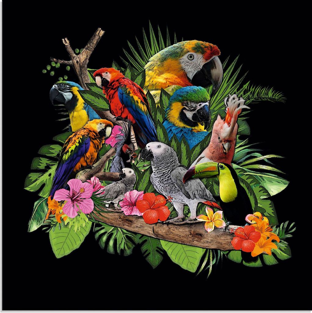 ARTland Glasbild Papageien Graupapagei Kakadu Dschungel Größe: 40x40 cm