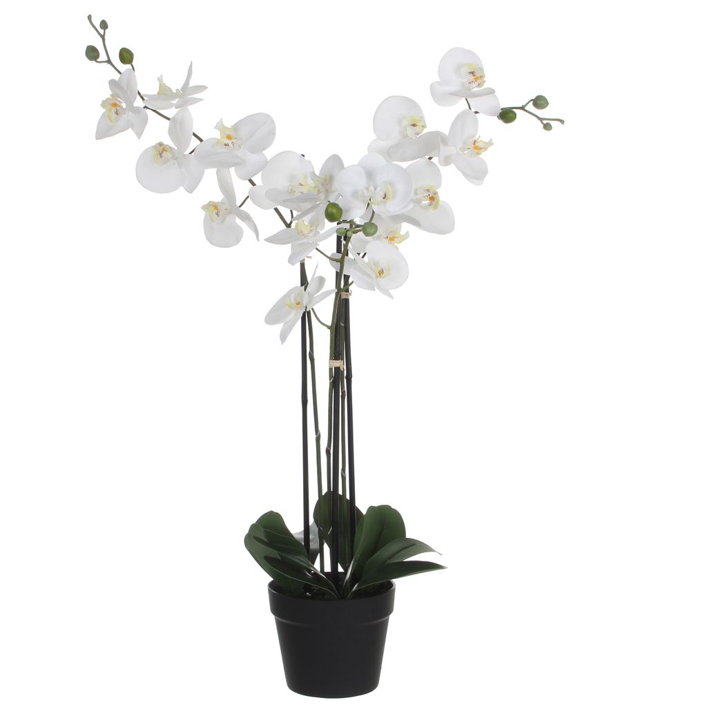 Mica Decorations Phalaenopsis Kunstpflanze - L65 x B45 x H75 cm - Grün