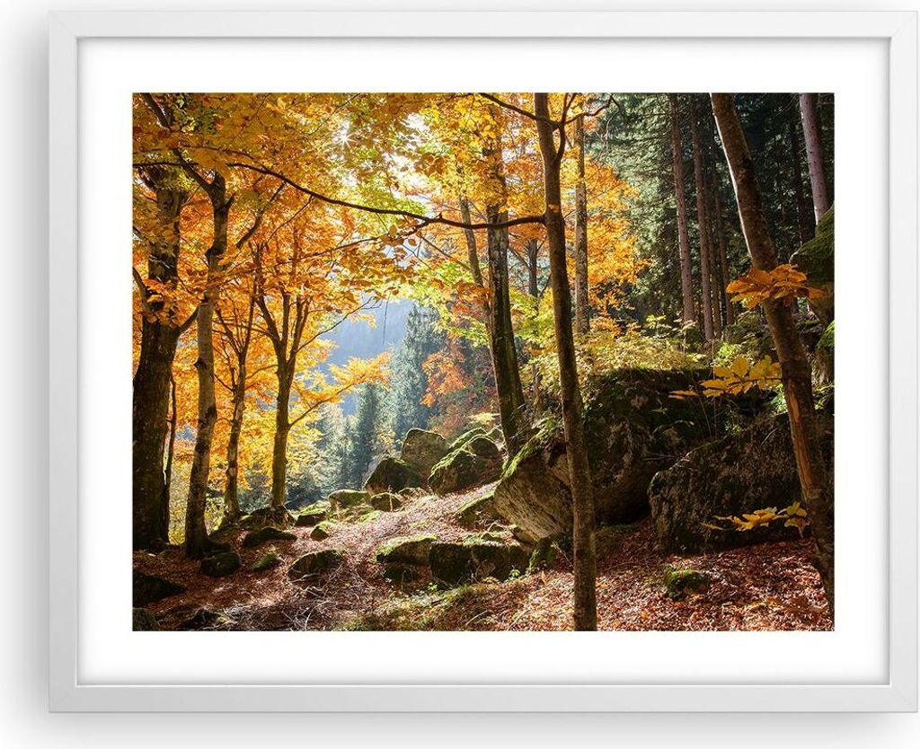 Gerahmtes Poster - Weißer Rahmen - Herbst berg wald natur - 50x40 cm - Wand Bild - Wanddeko - Wandbilder - Kunstposter - Wandposter - Bilderrahmen...