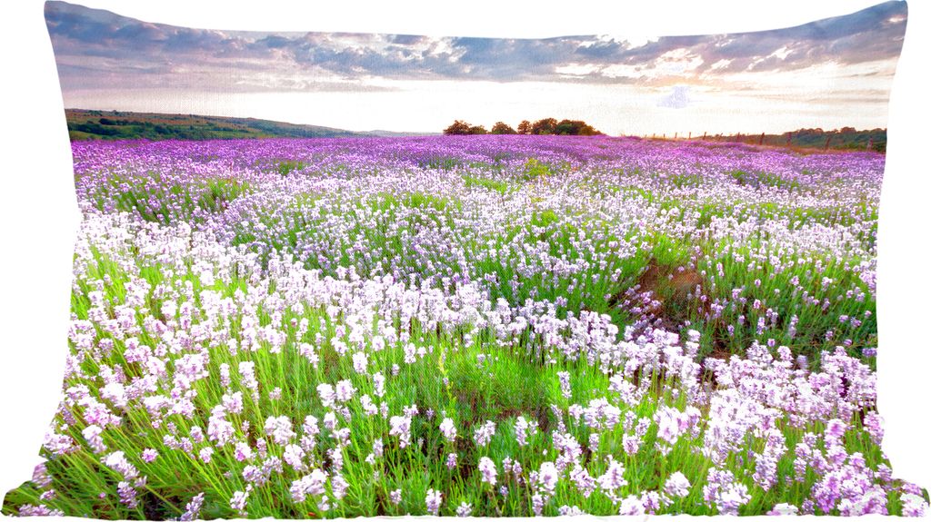 MuchoWow Zierkissen Sofakissen Wohnzimmer Dekokissen 50x30 cm Lavendel - Blumen - Sonnenuntergang - Lila - Wiese - Wohnzimmerdekoration - Polster...