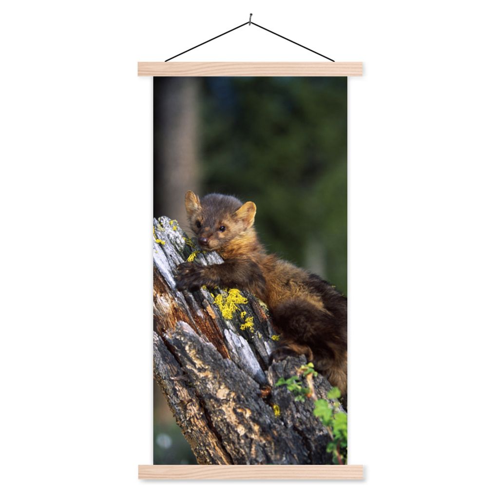MuchoWow Textilposter Marder - Baum - Wald 60x120 cm mit holzfarbenen Rahmen - Holz