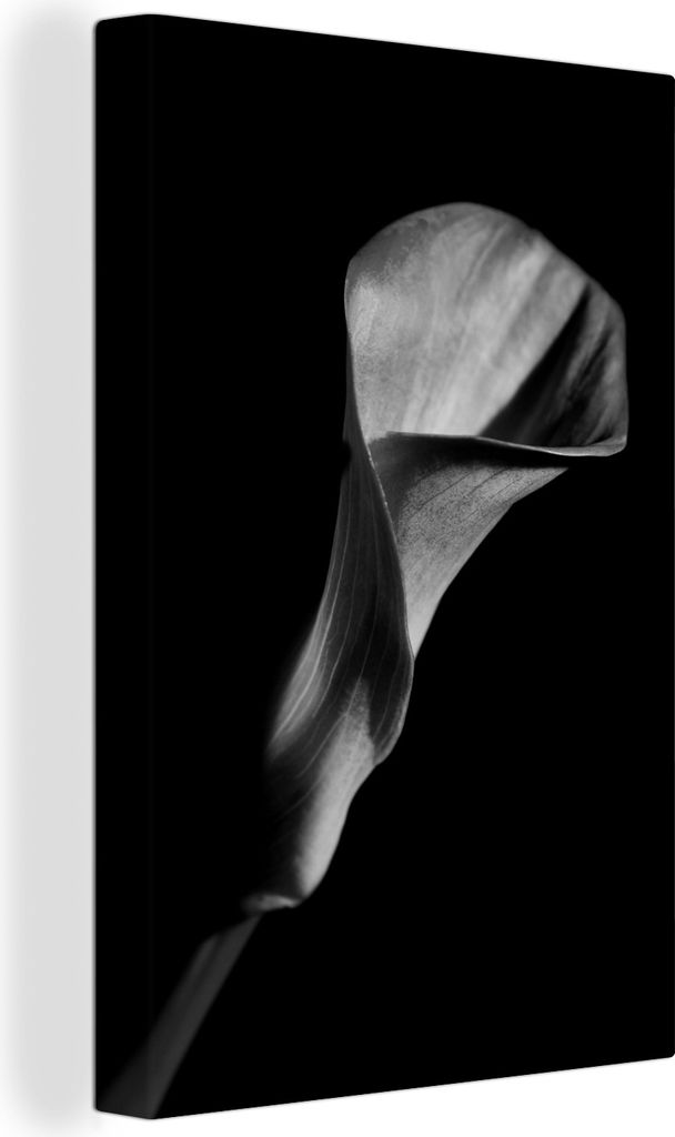 OneMillionCanvasses - Leinwandbilder - 90x140 cm, Calla-Lilie in Blüte - schwarz und weiß, Wandbilder Kunstdruck Wanddekoration - Wandschmucke ...
