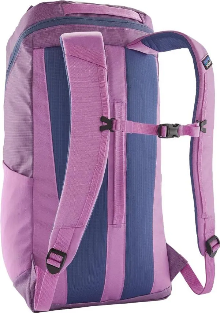 Patagonia Black Hole Pack 25L Viola Vivace - Recensione e Prezzo - 2