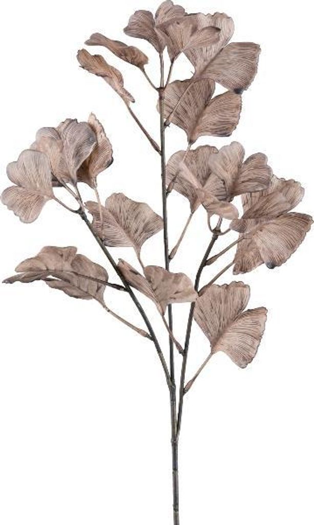 artplants.de Deko Zweig Ginkgo LIMVAR, braun, 60cm - Künstlicher Gingkozweig