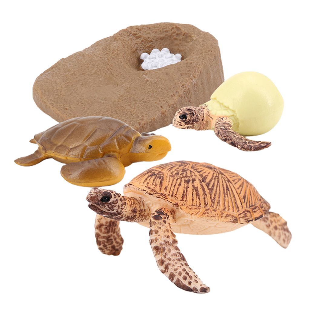 Plastik lebenszyklus der schildkröte figur kinder schüler frühe bildung lerne